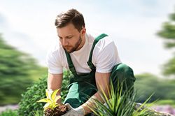 Озеленение и городское благоустройство, создание комфортной среды  в Электростали