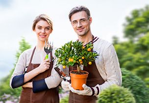Проект «под ключ» где можно заказать по низкой цене  в Электростали