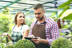 Дендроплан - верное планирование территории и решения этой задачи на уровне  в Электростали