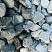 Kamenclub.ru: Щебень галтованный зеленый (змеевик) фр. 50-100 мм.  купить в Электростали галтовка мраморная зеленый, салатовый мрамор 12 500 руб/т   фото КАМЕНЬ КЛУБ