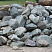 Kamenclub.ru: Гранит скальник (серо-зеленый) фр. 100-500 мм.  купить в Электростали гранит зеленый, серый, салатовый крупный ландшафтный валун 6 000 руб/т   фото КАМЕНЬ КЛУБ