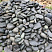 Kamenclub.ru: Темно-серый валунчик фр.100-300 мм.  купить в Электростали крупный природный камень серый, темно-серый, светло-серый речная галька большого размера окатанная 4500 руб/т   фото КАМЕНЬ КЛУБ