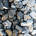 Kamenclub.ru: Щебень галтованный черный (мрамор) фр. 50-100 мм.  купить в Электростали мрамор черный с белыми прожилками щебень ландшафтный мраморный 15000 руб/т   фото КАМЕНЬ КЛУБ