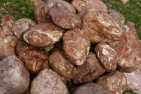 Kamenclub.ru: Розовый валунчик фр.100-300 мм.  купить в Электростали крупный природный камень розовый, серый молочный красный речной галечник природный 7850 руб/т   фото КАМЕНЬ КЛУБ