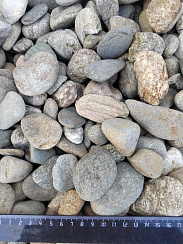 Kamenclub.ru: Галька речная окат (пестрая) фр. 20-40 мм. купить  в Электростали галька речная пестрая, серая, серые оттенки галька речная окатанная округлая 5000 руб/т   фото КАМЕНЬ КЛУБ