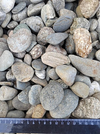 Kamenclub.ru: Галька речная окат (пестрая) фр. 20-40 мм. купить  в Электростали галька речная пестрая, серая, серые оттенки галька речная окатанная округлая 5000 руб/т   фото КАМЕНЬ КЛУБ