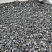 Kamenclub.ru: Щебень крошка черный (мрамор) фр. 10-20 мм.  купить в Электростали мрамор черный с белыми прожилками, черный, белый каменная ландшафтная декоративная крошка щебня 11000 руб/т   фото КАМЕНЬ КЛУБ