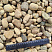 Kamenclub.ru: Галька речная окат рыжая фр. 20-40 мм. купить  в Электростали галька речная окатанная рыжая желтая серая округлая речная галька 5000 руб/т   фото КАМЕНЬ КЛУБ