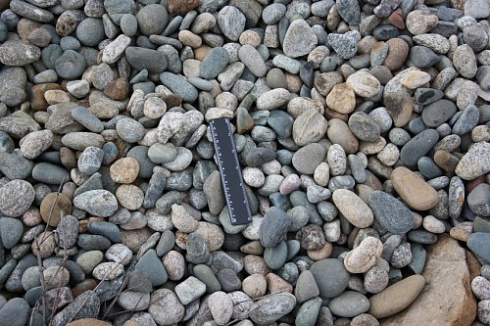 Kamenclub.ru: Галька речная окат (пестрая) фр. 20-40 мм. купить  в Электростали галька речная пестрая, серая, серые оттенки галька речная окатанная округлая 5000 руб/т   фото КАМЕНЬ КЛУБ