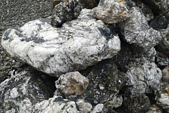 Kamenclub.ru: Черный гранит - кварцит фр. 100-500 мм.  купить в Электростали мрамор гранит черный с белыми прожилками, серый, белый валун скальный колотый 7000 руб/т   фото КАМЕНЬ КЛУБ