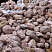 Kamenclub.ru: Розовый валунчик фр.100-300 мм.  купить в Электростали крупный природный камень розовый, серый молочный красный речной галечник природный 7850 руб/т   фото КАМЕНЬ КЛУБ