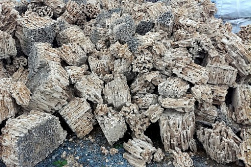 Kamenclub.ru: Крымский природный меотис фр. 100-500 мм.  купить в Электростали меотис бежевый рыжий молочный желтый ракушечник 4 500 руб/т   фото КАМЕНЬ КЛУБ