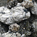 Kamenclub.ru: Черный гранит - кварцит фр. 100-500 мм.  купить в Электростали мрамор гранит черный с белыми прожилками, серый, белый валун скальный колотый 7000 руб/т   фото КАМЕНЬ КЛУБ