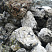 Kamenclub.ru: Черный гранит - кварцит фр. 100-500 мм.  купить в Электростали мрамор гранит черный с белыми прожилками, серый, белый валун скальный колотый 7000 руб/т   фото КАМЕНЬ КЛУБ