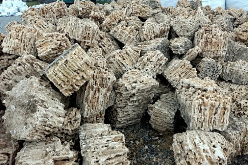 Kamenclub.ru: Крымский природный меотис фр. 100-500 мм.  купить в Электростали меотис бежевый рыжий молочный желтый ракушечник 4 500 руб/т   фото КАМЕНЬ КЛУБ