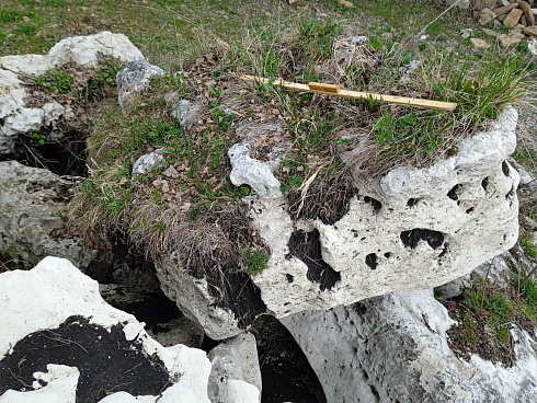 Kamenclub.ru: Выветренный известняк со мхом фр. 100-500 мм.  купить в Электростали известняк серый белый зеленый валун известняковый крупный 10000 руб/т   фото КАМЕНЬ КЛУБ