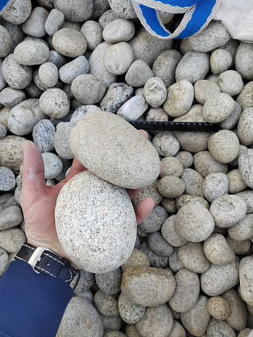 Kamenclub.ru: Галька речная окат (серо-белая) фр. 70-120 мм купить  в Электростали галька галечник бело-серая, серо-белая, серая, белая речная природная галька  8000 руб/т   фото КАМЕНЬ КЛУБ