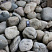 Kamenclub.ru: Темно-серый валунчик фр.100-300 мм.  купить в Электростали крупный природный камень серый, темно-серый, светло-серый речная галька большого размера окатанная 4500 руб/т   фото КАМЕНЬ КЛУБ