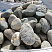 Kamenclub.ru: Речной валун (Ассорти) фр.100-300 мм.  купить в Электростали галечник серый, темно-серый, светло-серый речная галька крупных размеров 4200 руб/т   фото КАМЕНЬ КЛУБ