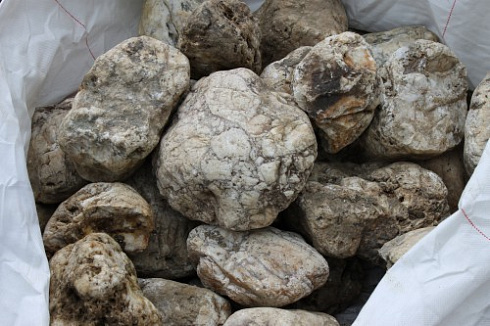 Kamenclub.ru: Кварцевый валунчик фр.100-300 мм.  купить в Электростали кварц белый, бежевый молочный рыжий крупный природный камень галечник 7850 руб/т   фото КАМЕНЬ КЛУБ