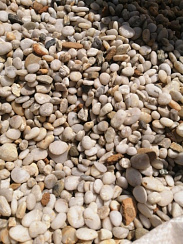 Галька Крымская Жемчужина фр. 10-20 мм.  купить в Электростали фото Камень Клуб