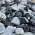 Kamenclub.ru: Мраморная крошка (щебень галтованный микс:: белый-черный) фр.20-40 мм  купить в Электростали мрамор белый, черный мраморный галтованный щебень 15500 руб/т   фото КАМЕНЬ КЛУБ