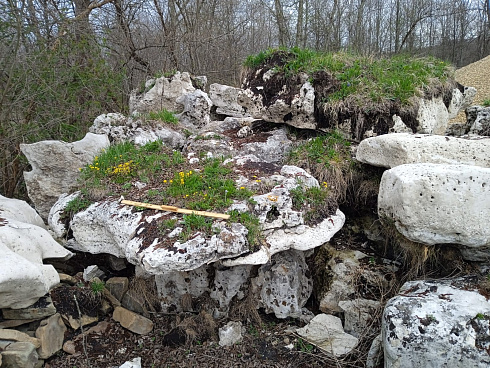 Kamenclub.ru: Выветренный известняк со мхом фр. 100-500 мм.  купить в Электростали известняк серый белый зеленый валун известняковый крупный 10000 руб/т   фото КАМЕНЬ КЛУБ