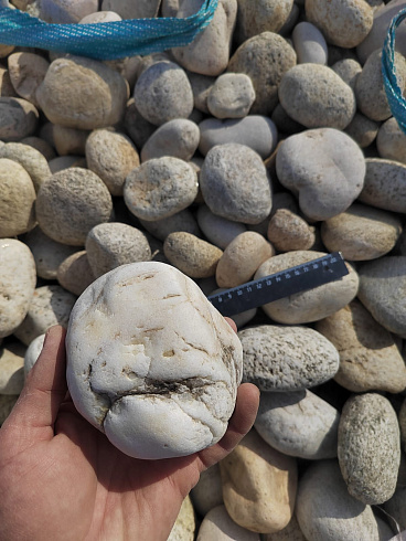 Kamenclub.ru: Галька речная окат (серо-белая) фр. 70-120 мм купить  в Электростали галька галечник бело-серая, серо-белая, серая, белая речная природная галька  8000 руб/т   фото КАМЕНЬ КЛУБ