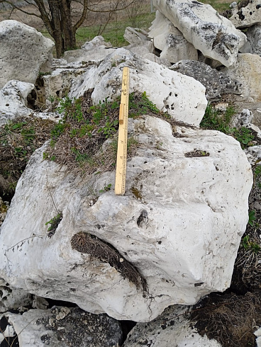 Kamenclub.ru: Выветренный известняк со мхом фр. 100-500 мм.  купить в Электростали известняк серый белый зеленый валун известняковый крупный 10000 руб/т   фото КАМЕНЬ КЛУБ