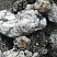 Kamenclub.ru: Черный гранит - кварцит фр. 100-500 мм.  купить в Электростали мрамор гранит черный с белыми прожилками, серый, белый валун скальный колотый 7000 руб/т   фото КАМЕНЬ КЛУБ