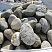 Kamenclub.ru: Речной валун (Ассорти) фр.100-300 мм.  купить в Электростали галечник серый, темно-серый, светло-серый речная галька крупных размеров 4200 руб/т   фото КАМЕНЬ КЛУБ