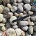 Kamenclub.ru: Галька речная окат (серо-белая) фр. 70-120 мм купить  в Электростали галька галечник бело-серая, серо-белая, серая, белая речная природная галька  8000 руб/т   фото КАМЕНЬ КЛУБ