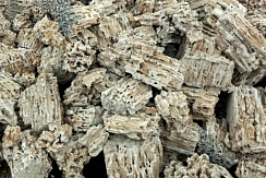 Kamenclub.ru: Крымский природный меотис фр. 100-500 мм.  купить в Электростали меотис бежевый рыжий молочный желтый ракушечник 4 500 руб/т   фото КАМЕНЬ КЛУБ