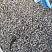 Kamenclub.ru: Галька речная окат (серая) фр.3-5 мм купить  в Электростали галька речная серая бежевый темно-серый окатанный речной камень округлый 9500 руб/т   фото КАМЕНЬ КЛУБ