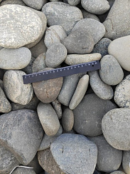 Kamenclub.ru: Галька речная плоская (ассорти) фр. 70-150 мм. купить в Электростали галька галечник серый белый темно-серый синий светло-серый плоская природная галька  9000 руб/т   фото КАМЕНЬ КЛУБ