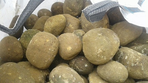 Kamenclub.ru: Песчаник ядра, фр. 100-300 мм  купить в Электростали песчаник бежевый серый рыжий речная галька 5 000 руб/т   фото КАМЕНЬ КЛУБ