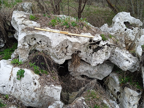 Kamenclub.ru: Выветренный известняк со мхом фр. 100-500 мм.  купить в Электростали известняк серый белый зеленый валун известняковый крупный 10000 руб/т   фото КАМЕНЬ КЛУБ