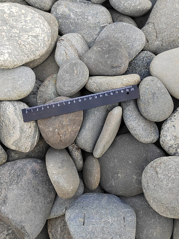 Kamenclub.ru: Галька речная плоская (ассорти) фр. 70-150 мм. купить  в Электростали галька галечник серый белый темно-серый синий светло-серый плоская природная галька  9000 руб/т   фото КАМЕНЬ КЛУБ
