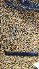 Kamenclub.ru: Галька окат (серо-желтая) фр.5-10 мм. купить  в Электростали галька речная рыжий, желтый, рыжий, серо-желтый речная окатанная галька декоративная 5000 руб/т   фото КАМЕНЬ КЛУБ