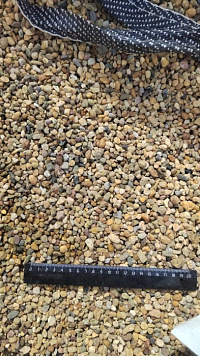 Kamenclub.ru: Галька окат (серо-желтая) фр.5-10 мм. купить  в Электростали галька речная рыжий, желтый, рыжий, серо-желтый речная окатанная галька декоративная 5000 руб/т   фото КАМЕНЬ КЛУБ