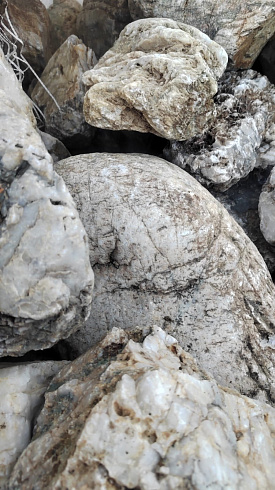 Kamenclub.ru: Кварцевый валунчик фр.100-300 мм.  купить в Электростали кварц белый, бежевый молочный рыжий крупный природный камень галечник 7850 руб/т   фото КАМЕНЬ КЛУБ