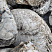 Kamenclub.ru: Кварцевый валунчик фр.100-300 мм.  купить в Электростали кварц белый, бежевый молочный рыжий крупный природный камень галечник 7850 руб/т   фото КАМЕНЬ КЛУБ