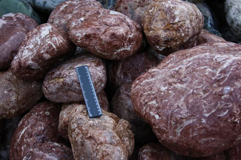 Kamenclub.ru: Розовый валунчик фр.100-300 мм.  купить в Электростали крупный природный камень розовый, серый молочный красный речной галечник природный 7850 руб/т   фото КАМЕНЬ КЛУБ