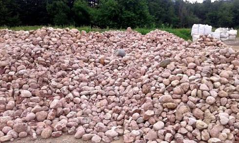 Kamenclub.ru: Розовый валунчик фр.100-300 мм.  купить в Электростали крупный природный камень розовый, серый молочный красный речной галечник природный 7850 руб/т   фото КАМЕНЬ КЛУБ