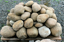 Kamenclub.ru: Песчаник ядра, фр. 100-300 мм  купить в Электростали песчаник бежевый серый рыжий речная галька 5 000 руб/т   фото КАМЕНЬ КЛУБ