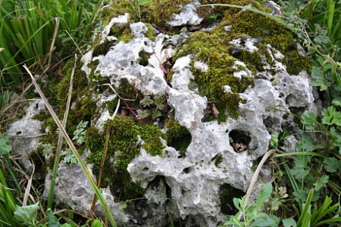 Kamenclub.ru: Выветренный известняк со мхом фр. 100-500 мм.  купить в Электростали известняк серый белый зеленый валун известняковый крупный 10000 руб/т   фото КАМЕНЬ КЛУБ