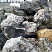 Kamenclub.ru: Черный гранит - кварцит фр. 100-500 мм.  купить в Электростали мрамор гранит черный с белыми прожилками, серый, белый валун скальный колотый 7000 руб/т   фото КАМЕНЬ КЛУБ