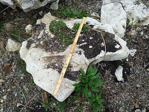 Kamenclub.ru: Выветренный известняк (степной) фр. 500-1500 мм.  купить в Электростали    10000 руб/т   фото КАМЕНЬ КЛУБ