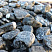 Kamenclub.ru: Щебень галтованный черный (мрамор) фр.20-40 мм.  купить в Электростали мрамор черный с белыми прожилками мрамор окатанный округлый 15000 руб/т   фото КАМЕНЬ КЛУБ