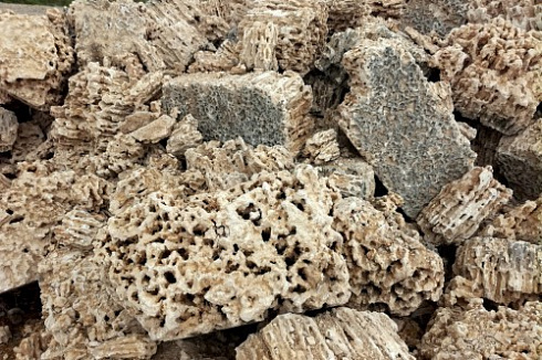 Kamenclub.ru: Крымский природный меотис фр. 100-500 мм.  купить в Электростали меотис бежевый рыжий молочный желтый ракушечник 4 500 руб/т   фото КАМЕНЬ КЛУБ